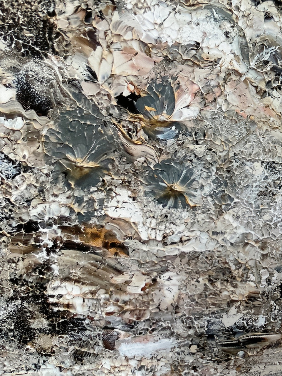 Adorable fox love Print