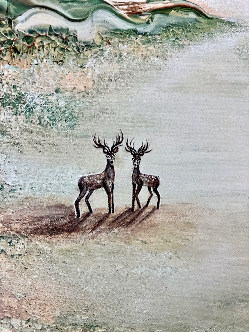Deer stillness Print